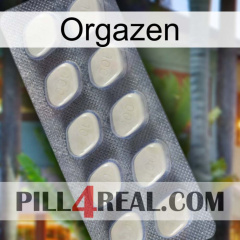 Orgazen 08